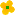 flowe03c.gif